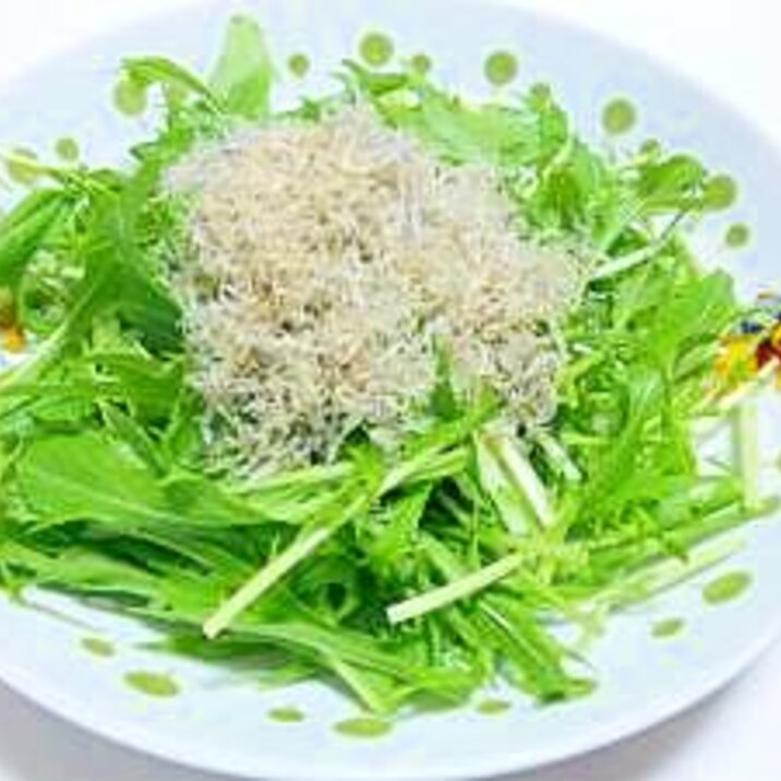 水菜とカリカリしらすサラダ レシピ 作り方 By w w 楽天レシピ 水菜とカリカリしらすサラダ レシピ 作り方 By w w 楽天レシピ